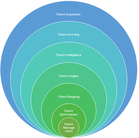 The Talent Ecosystem - technical interviews