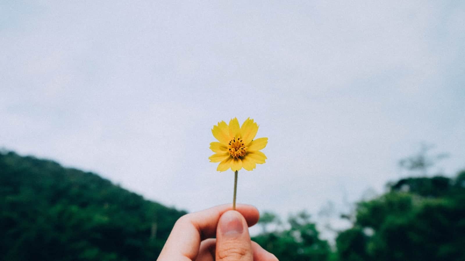 Ten Things to Let Go for A Happy 2019
