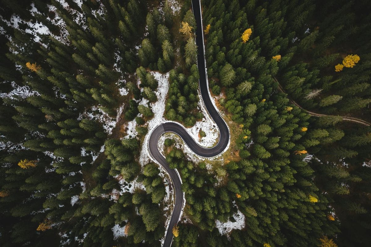 A winding road snakes through a dense forest in Cortina d’Ampezzo, Italy.