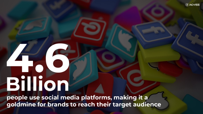 4.6 million internet users. 