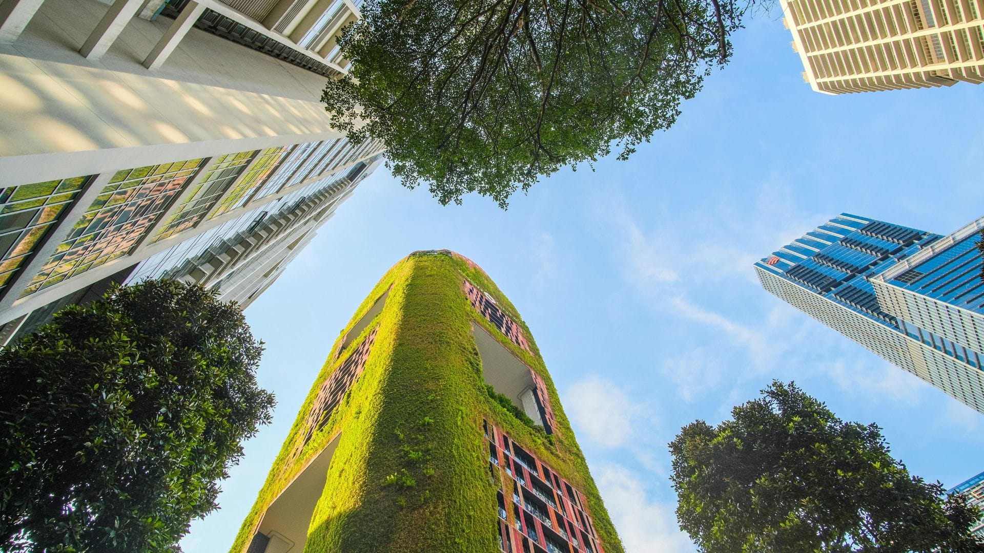 Environmental and Sustainability Compliance