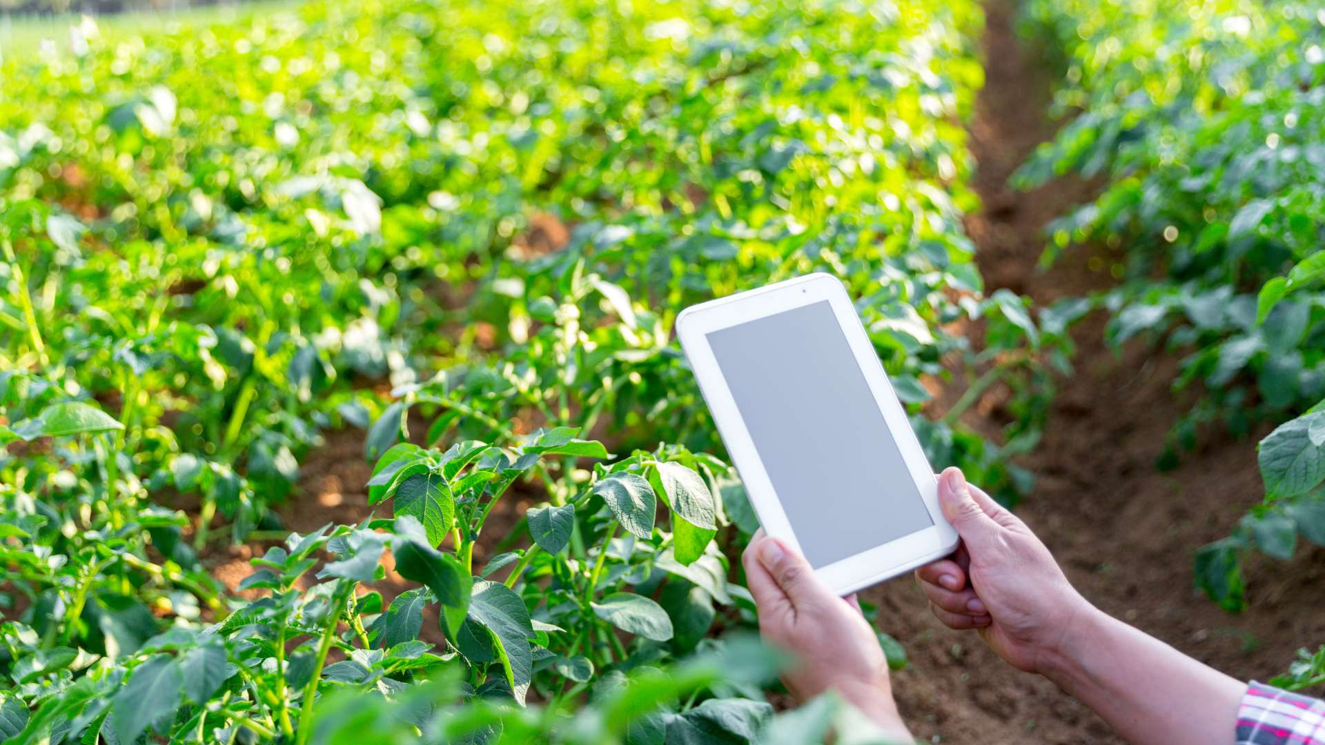 farm technology