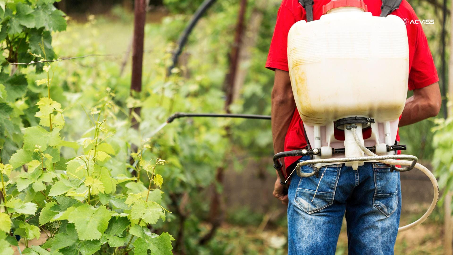 Chemicals and Agrochemicals