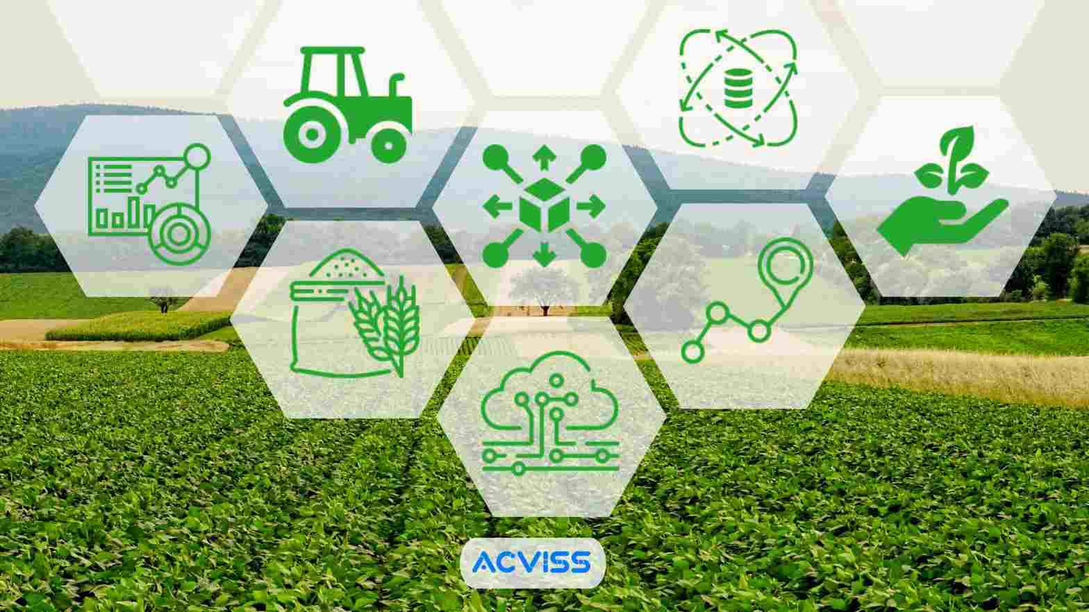 Five ways Blockchain can Help Farmers and Consumers