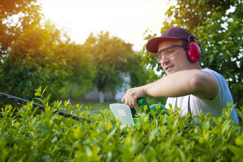 Checklist Features for Effective Lawn Care Management Software