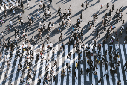 From Individuals to Collectives: Exploring 'Persons' and 'People