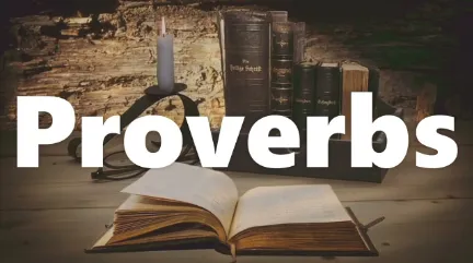 An image of proverb in english