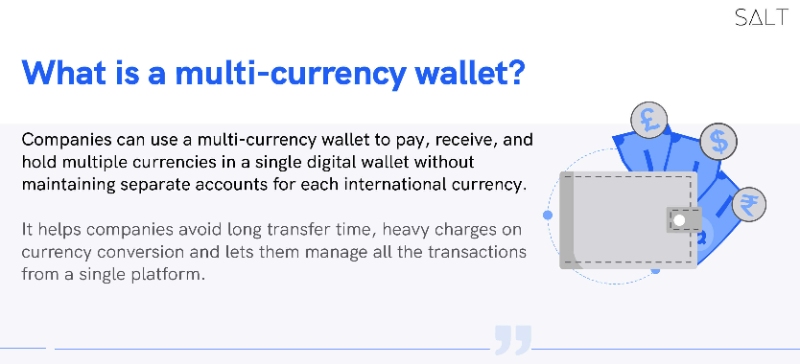 what-is-a-multi-currency-wallet