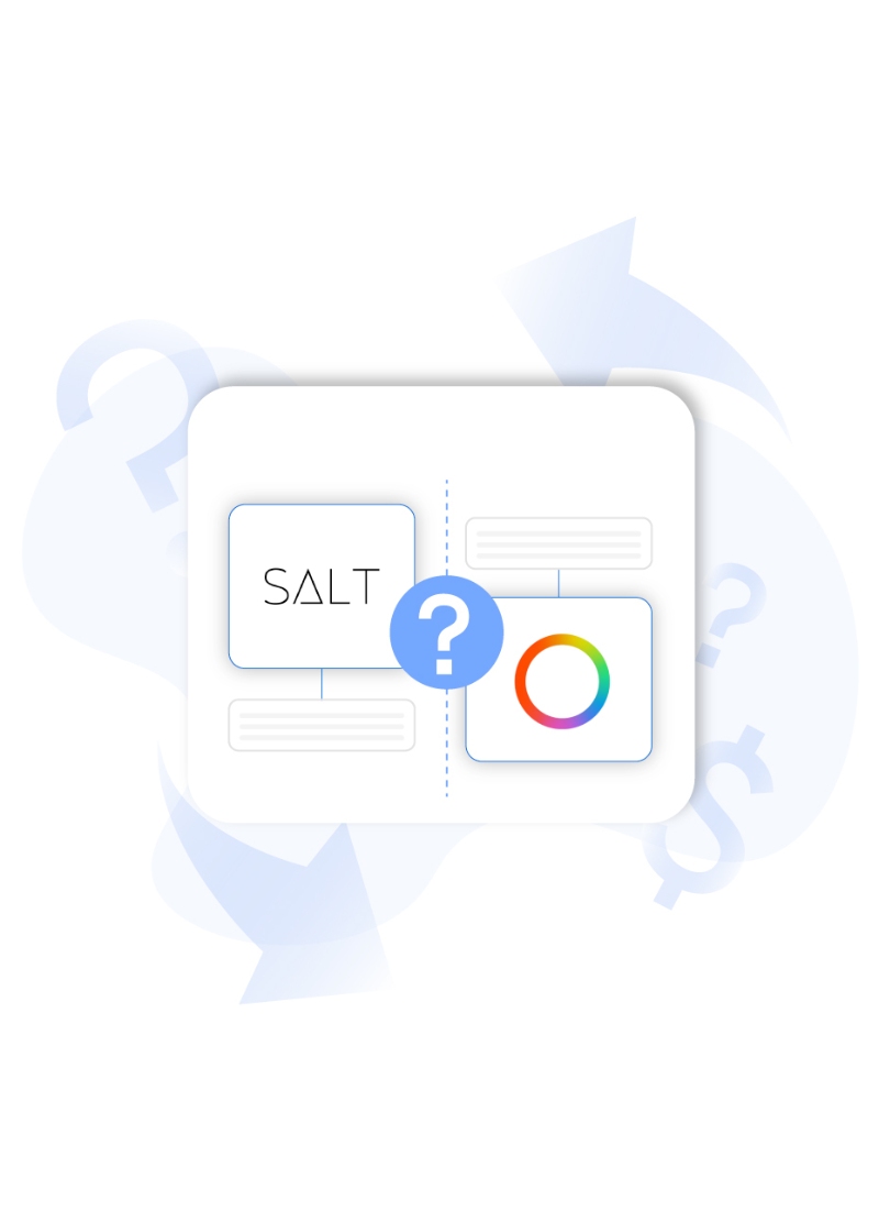 Payoneer Or Salt? : Compare To Choose Your Payment Processor