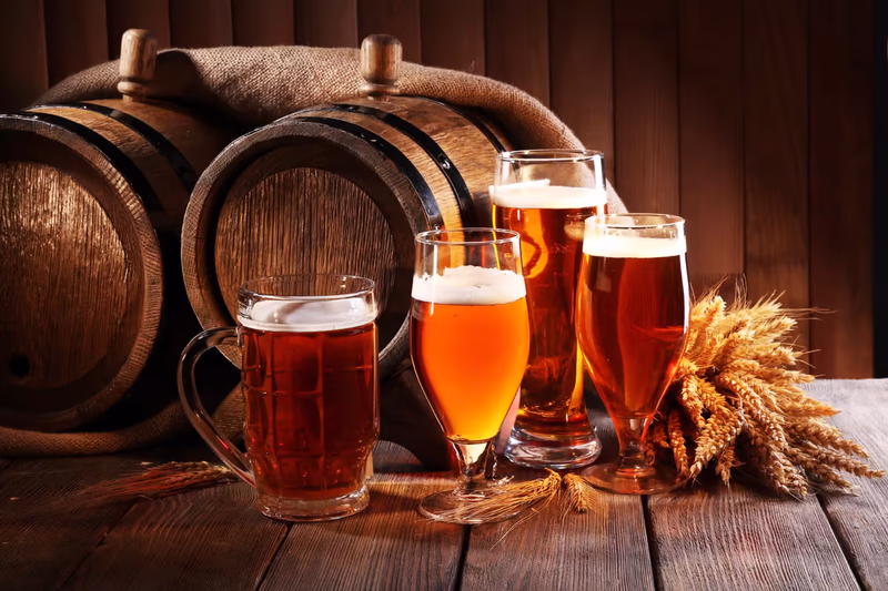 Sustainable Brewing Practices for Alcohol Production: A Focus on Wastewater Treatment