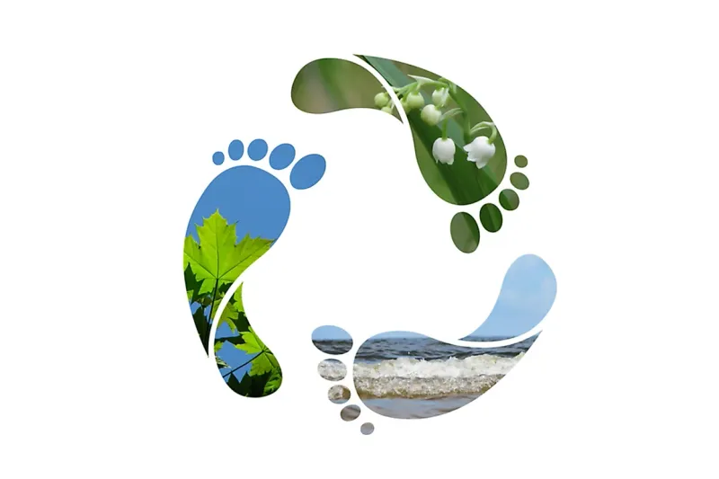 A Comprehensive Guide to Water Balance Estimation and Water Footprint Analysis
