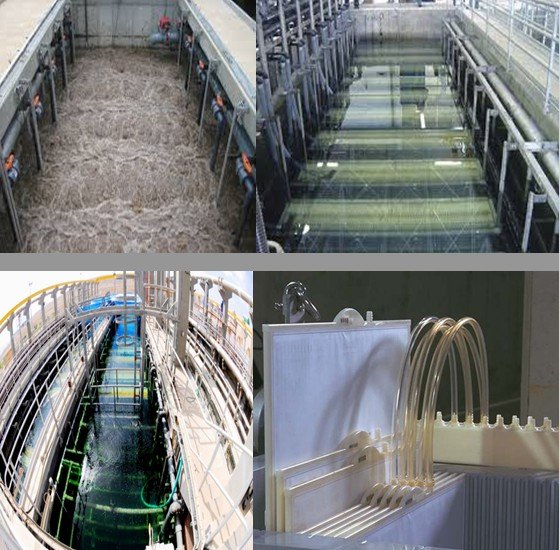 Understanding the Waters of Innovation: Membrane Bioreactor  (MBR) Technology