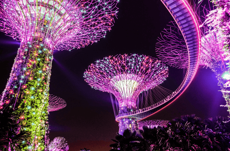 Discover the Best Things to Do in Singapore This July 2024