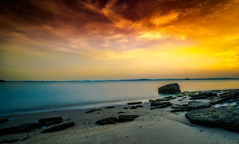 Explore Pulau Serangoon: Your Ultimate Guide to Singapore's Best-Kept Secret