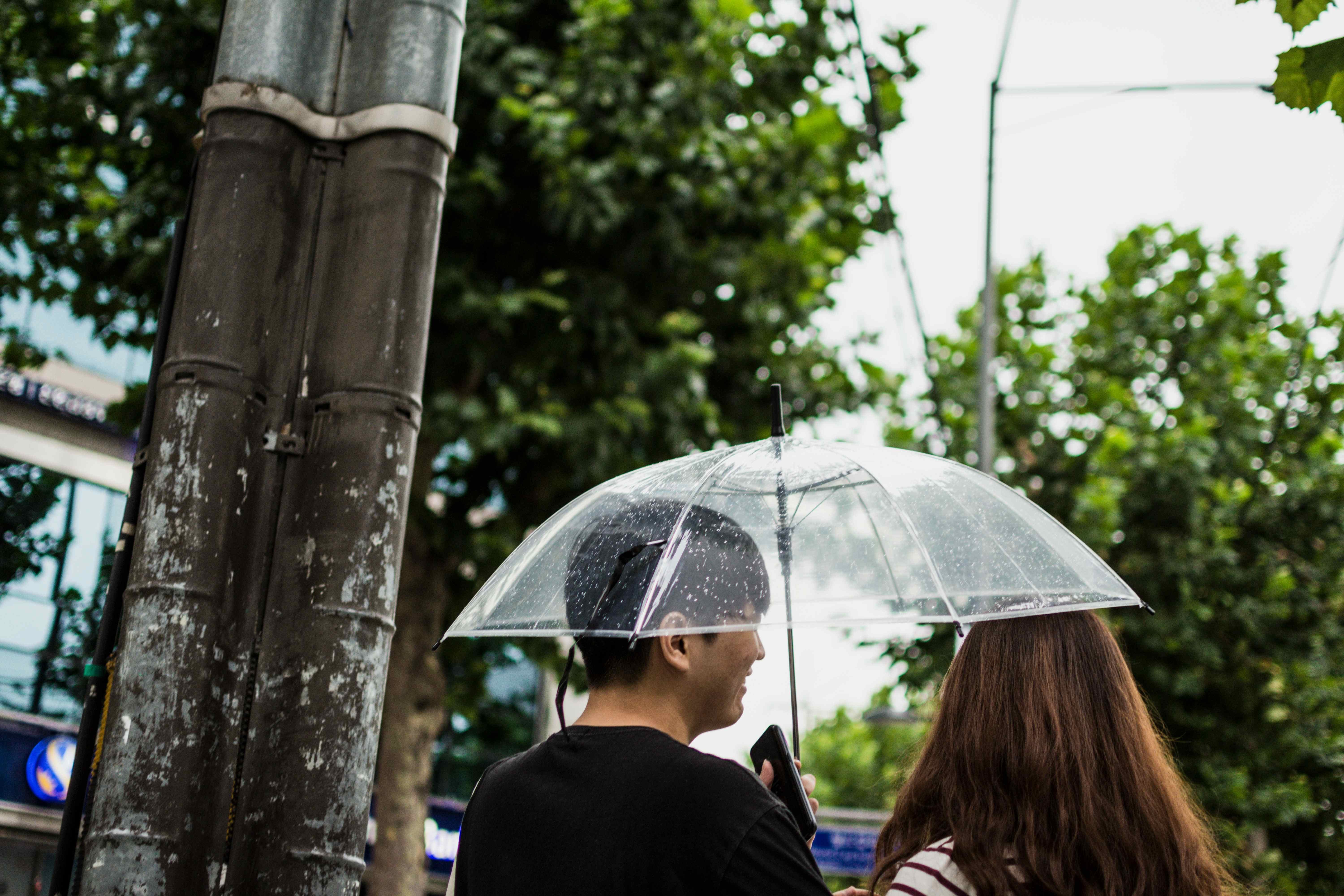 10 Amazing Date Ideas in Singapore using a rental car from Drive lah