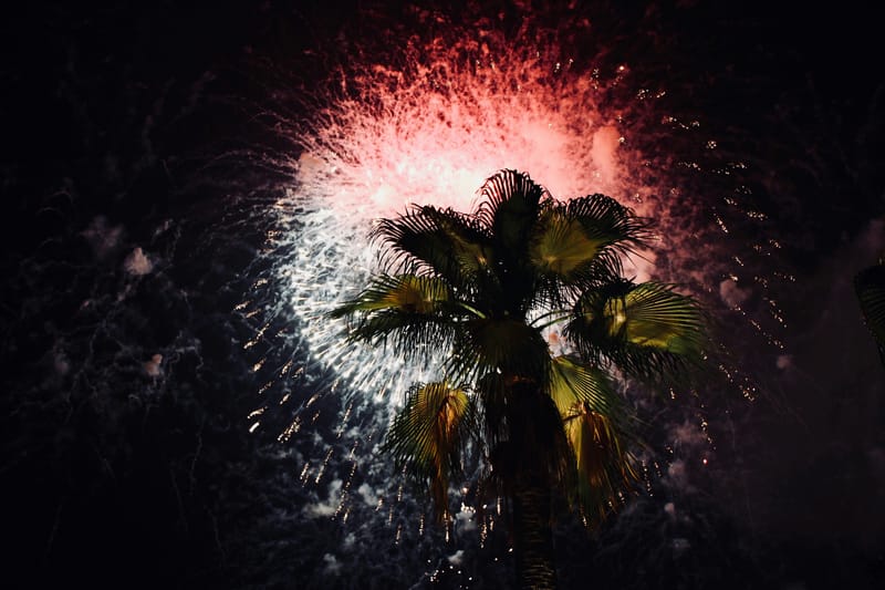 Where to Catch the Spectacular NDP 2025 Fireworks: A New Resident's Guide