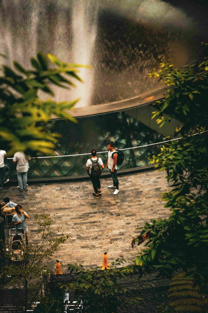 7 Must Try Activities for a Fun Layover at Singapore's Changi Airport