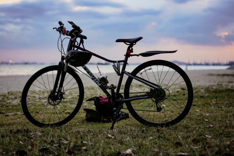 Singapore on Two Wheels: Exploring the City's Best Cycling Routes