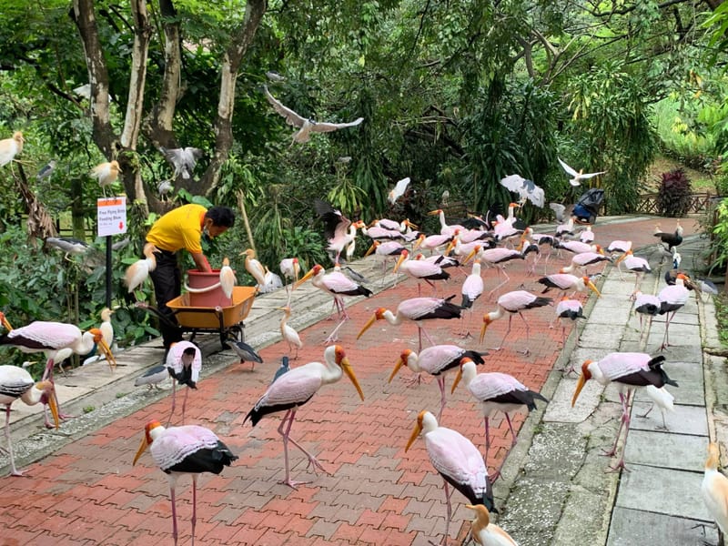 Experience Malaysia Like Never Before: A Family Adventure Guide