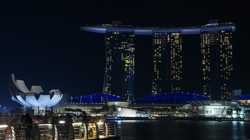 The Changing Landscape of Car Ownership in Singapore