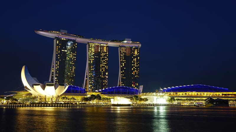 Singapore Bound: A Complete Moving Guide for Expats