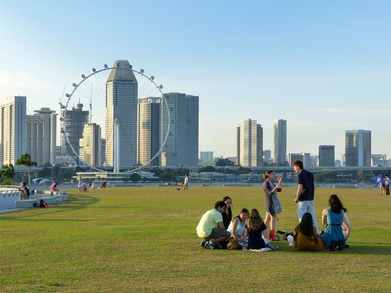 Discover the Top 8 Tips from Experts for Renting Cars in Singapore