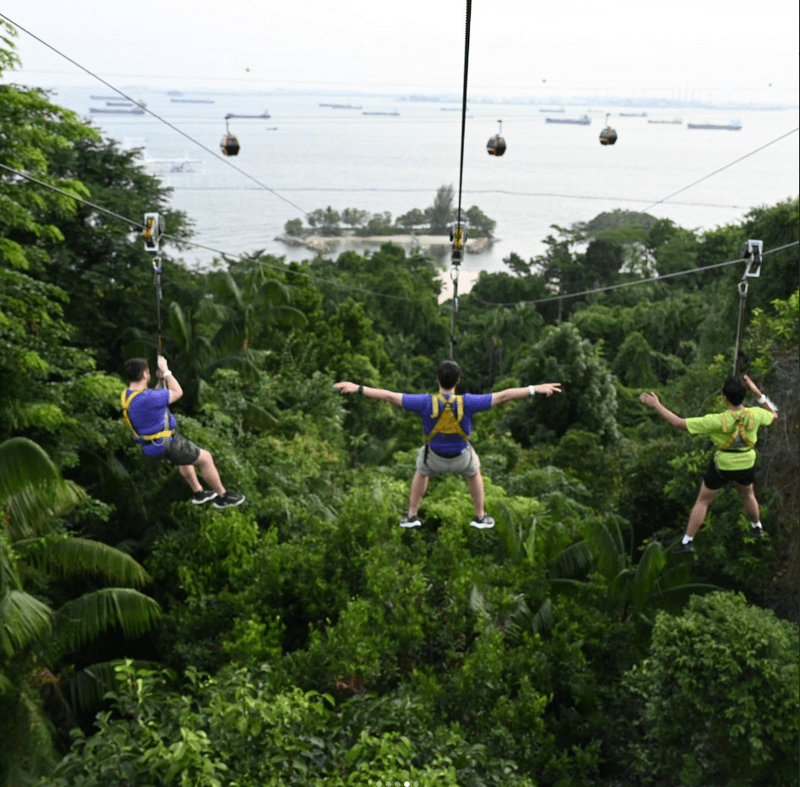 The Ultimate Guide to Mega Adventure Park: Thrills, Views, and Unforgettable Memories