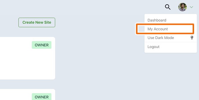 Download invoice for payments
