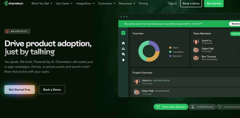 Screenshot of Chameleon's homepage