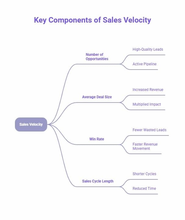 Infographic showing the key components of sales velocity, including number of opportunities, average deal size, win rate, and sales cycle length.