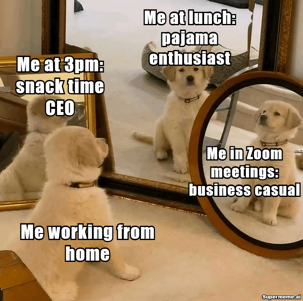 Funny Work From Home Memes