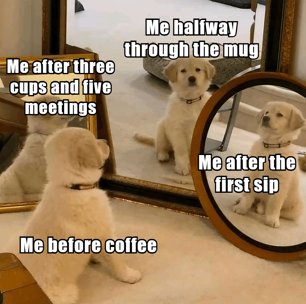 funny coffee memes 13