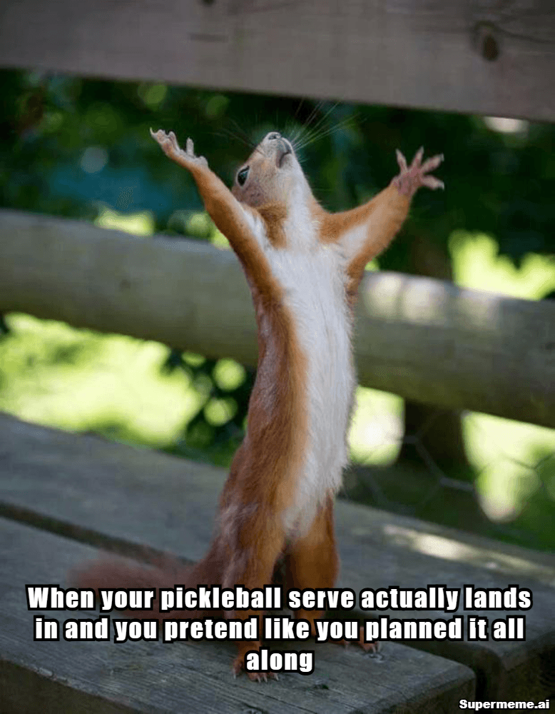 funny pickleball memes 4
