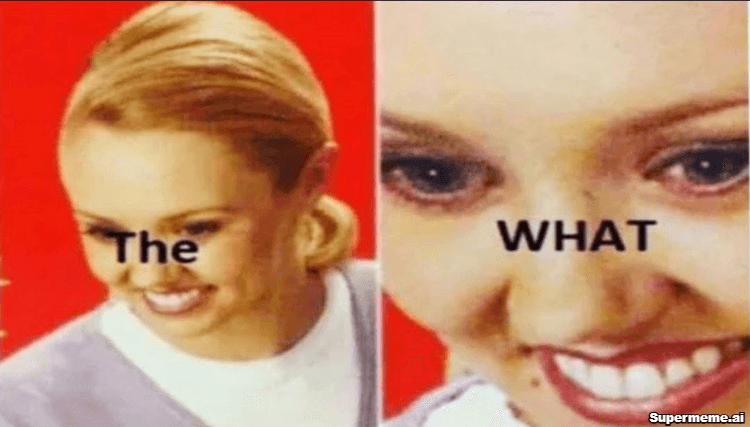 What is a meme