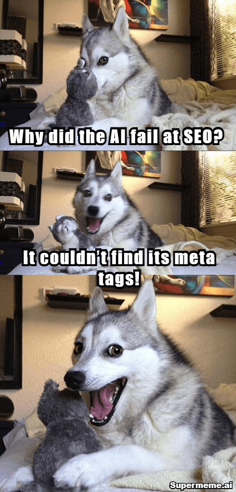 SEO Memes 20