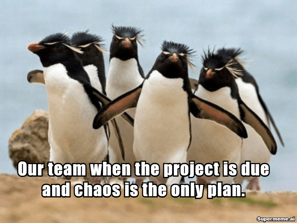 Team Work Memes 6