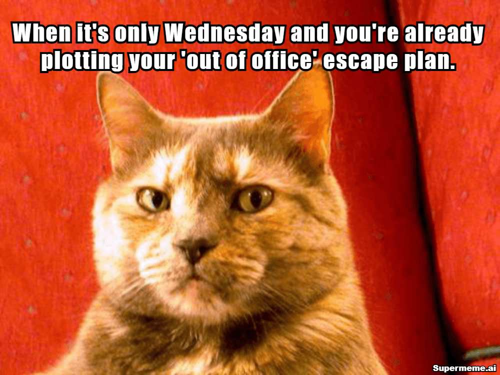 Wednesday Work Memes 7