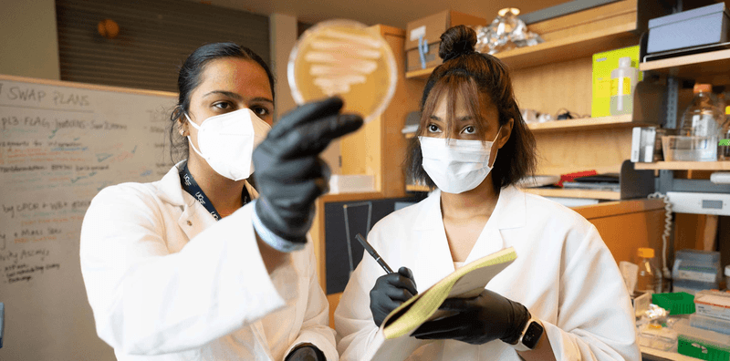 Challenges and Limitations of AI Research Assistants