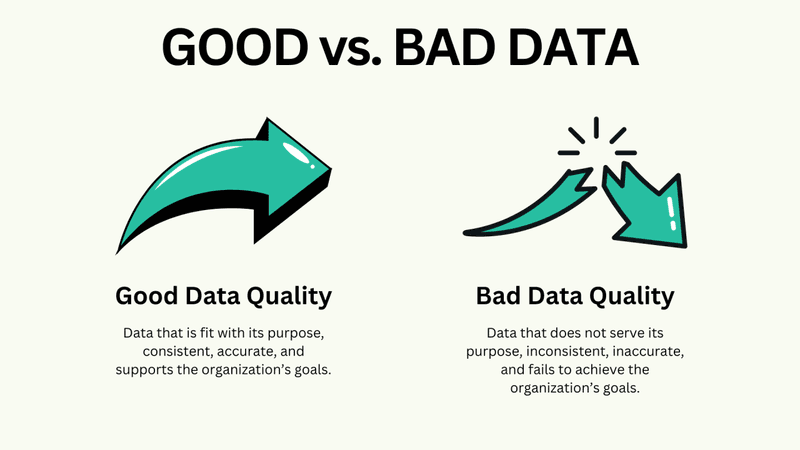 Why is Data Curation Important in AI Models? 