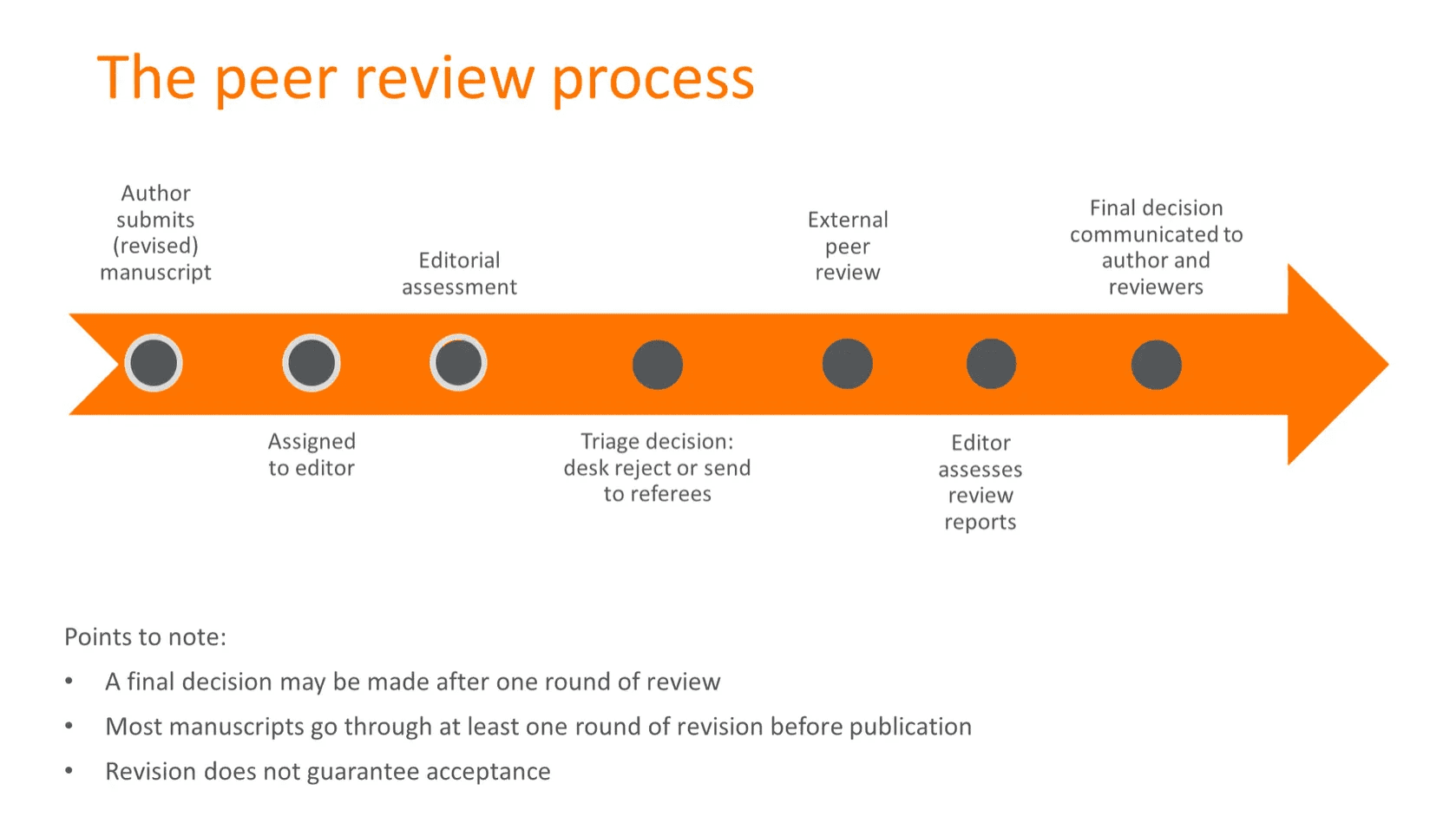 AI Scientist creating research papers