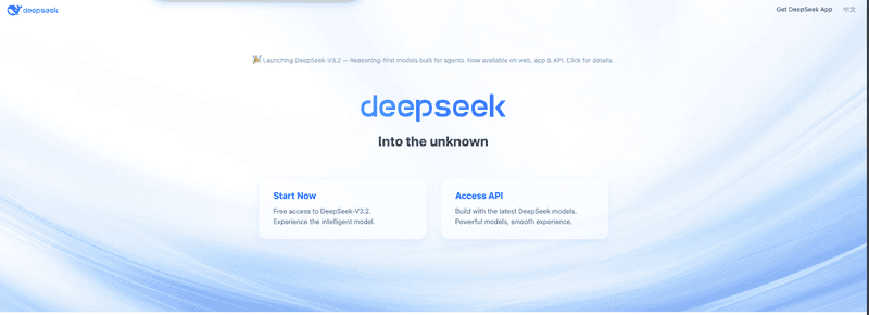 DeepSeek Detailed Review