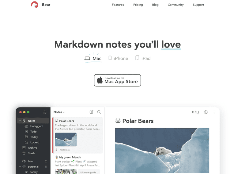 iA Writer Detailed Review