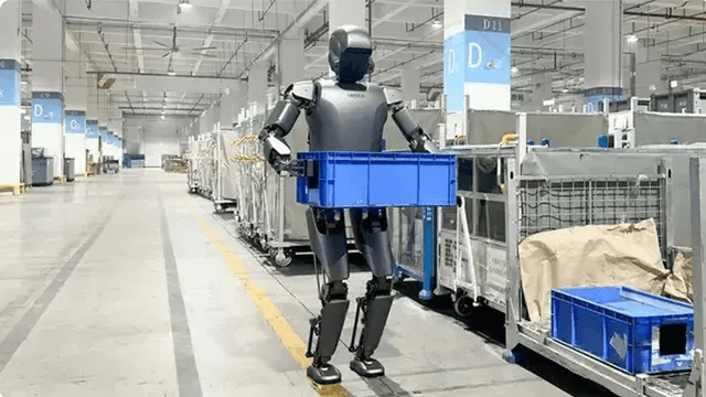Chinese Humanoid Robots