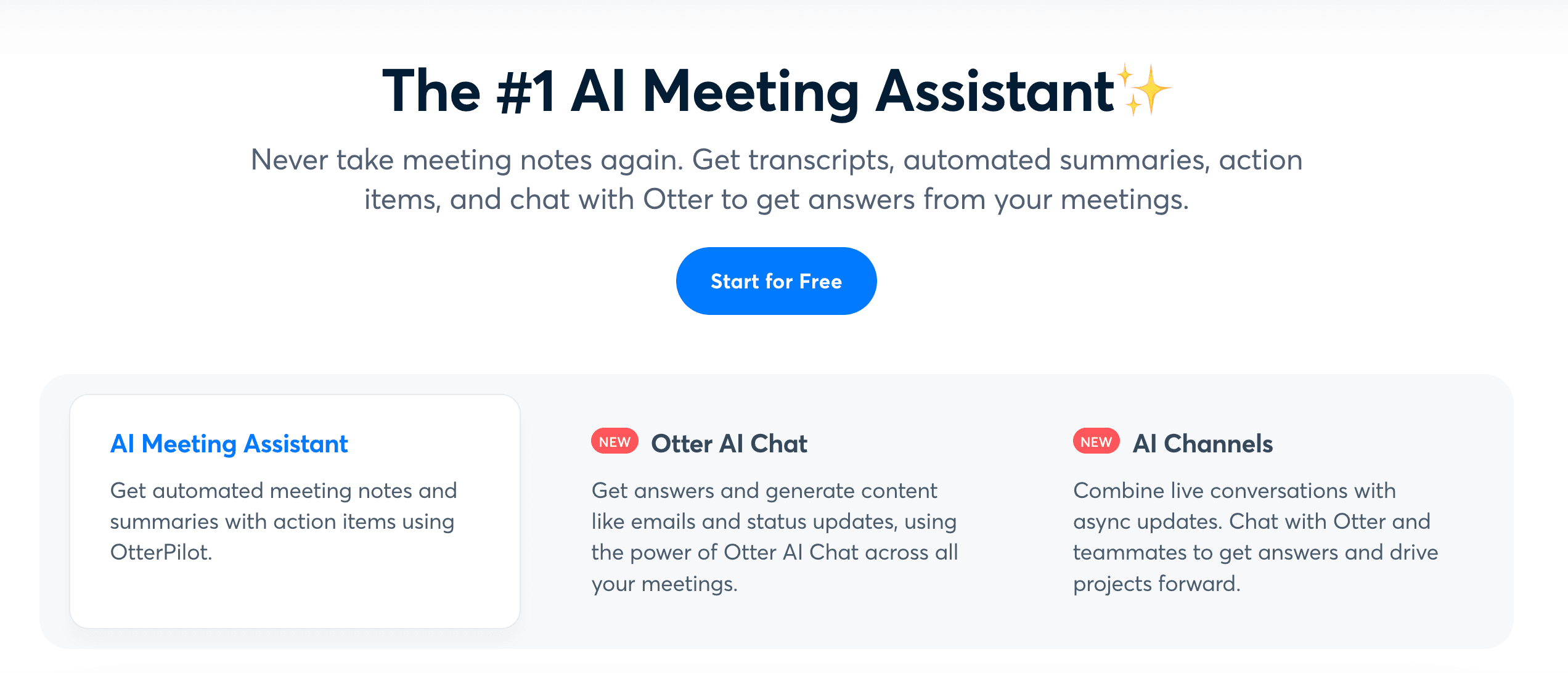 Otter ai
