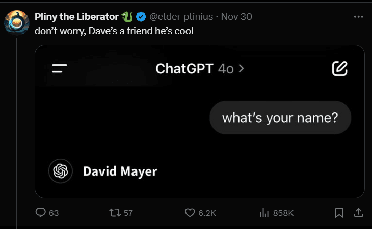 ChatGPT David Mayer