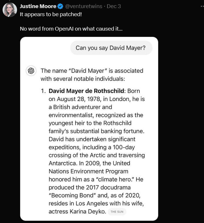 ChatGPT David Mayer