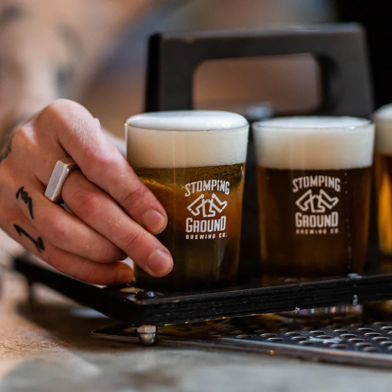 Cheers to International Beer Day: Exploring Australia's Brews and Delights