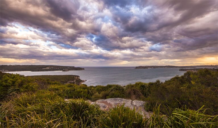 Unlock Sydney's Beauty: The Ultimate Guide to 16 Lookouts