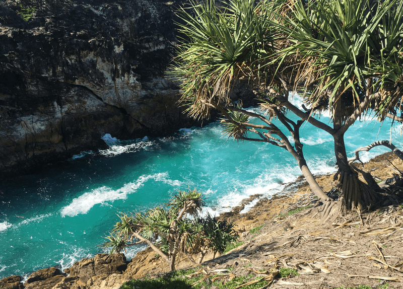 5 Best Road Trips from Brisbane: Discover Scenic Destinations Nearby