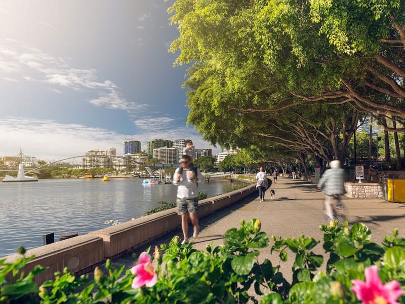 Free and Fun: 14 Local Gems to Visit in Brisbane